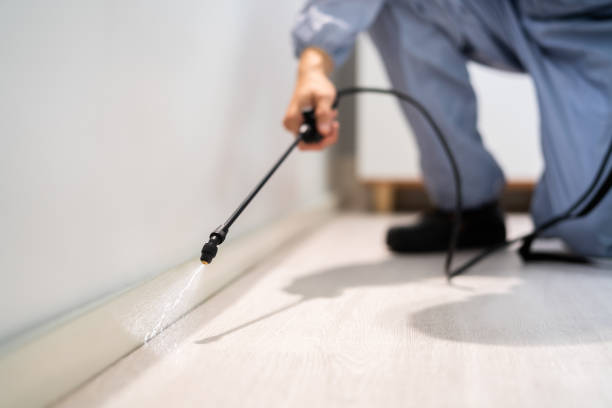 Licensed Termite Control service in Evans City, PA - Nex Pest Control