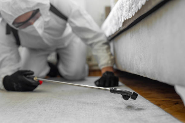 Professional Termite Control technician working in Evans City, PA