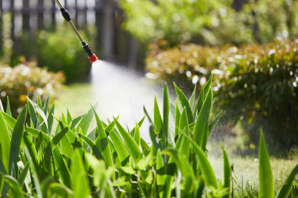 24/7 Emergency Termite Control experts in Evans City, PA
