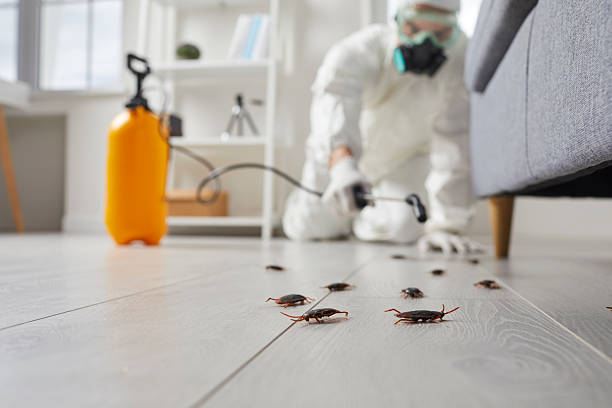 Trusted Termite Control service in Evans City, PA - Nex Pest Control
