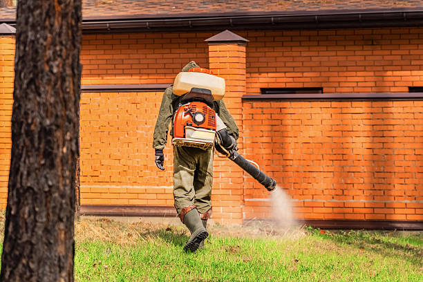 Trusted Rodent Control service in Evans City, PA - Nex Pest Control
